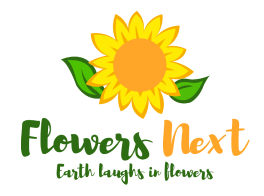 Your Logo