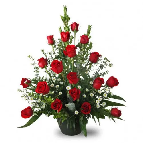 FB01.webp