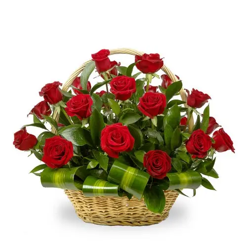 FB05.webp