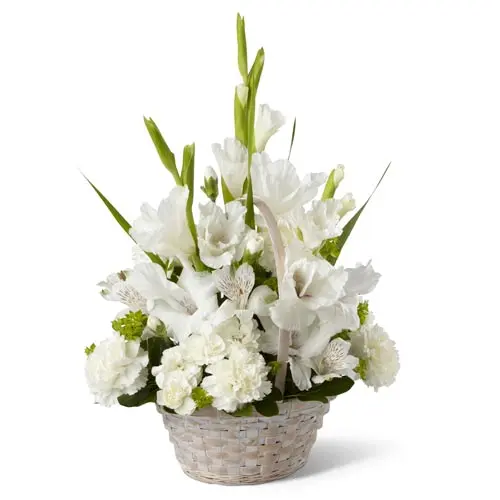 FB09.webp