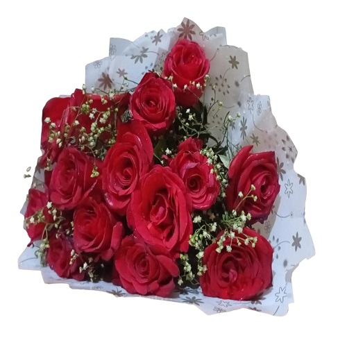 12 Red Roses
