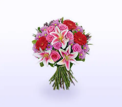 Pink-Bueaty.webp