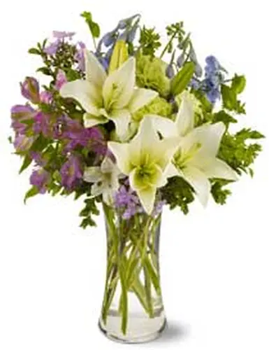 Preety-Fragnance.webp