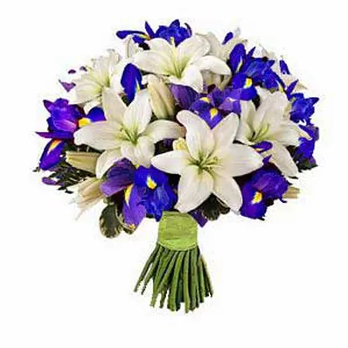 Simply-Elegance.webp