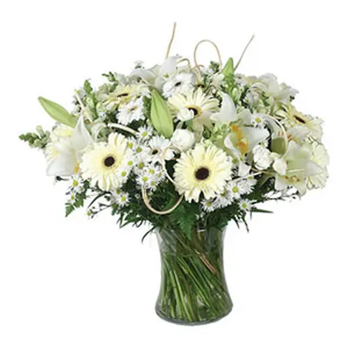 White-Elegance.webp