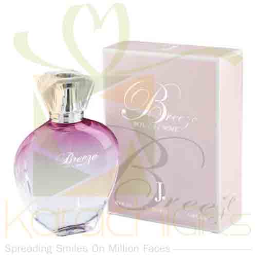 Breeze Pour Femme 100ML - J