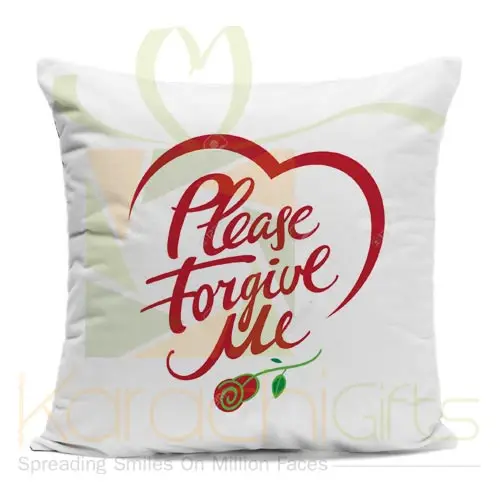 sorrycushion2.webp