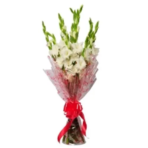 white-glades.webp