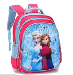 Frozen 3D Bag with Free Pencil Box