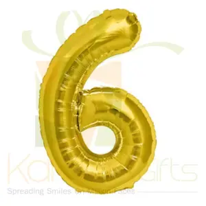 Number 6 Balloon