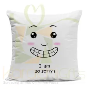 sorrycushion4.webp