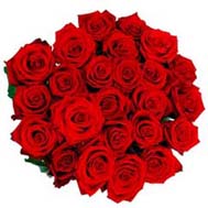 24 Red Roses