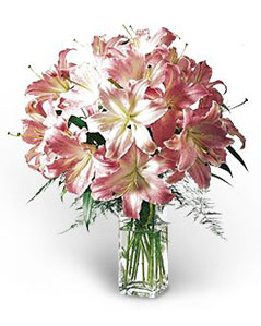 Lilies Elegance