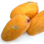 Sindhri Mangoes (5KG) 