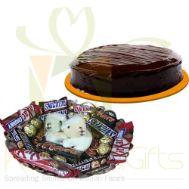 Teddy Choco Tray With Cake