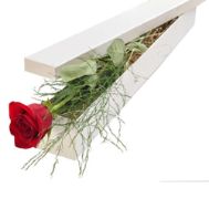 Single Rose In A Box