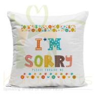 Sorry Cushion 01