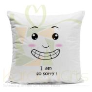 Sorry Cushion 04