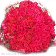 Large Bunch of 20 DozenRed Roses